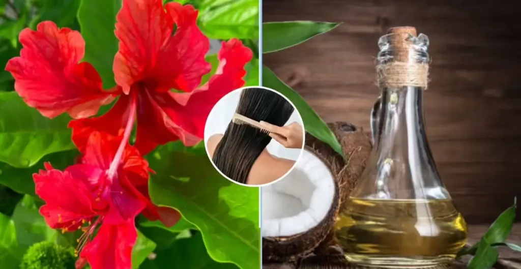 Coconut oil