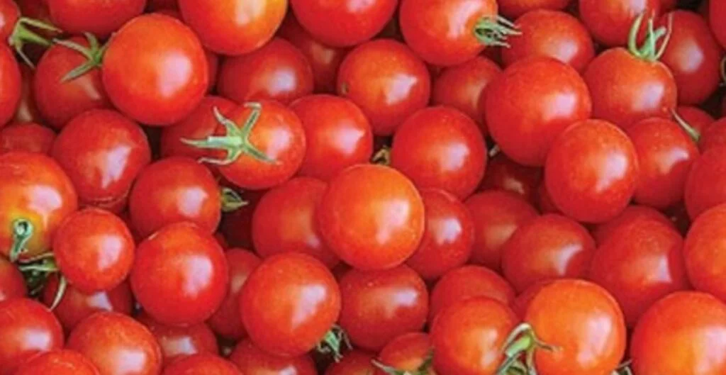 केंद्र सरका