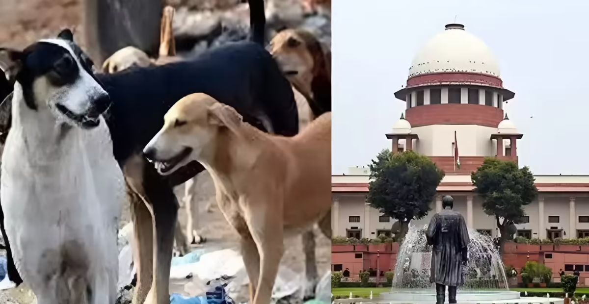 सुप्रीम कोर्ट