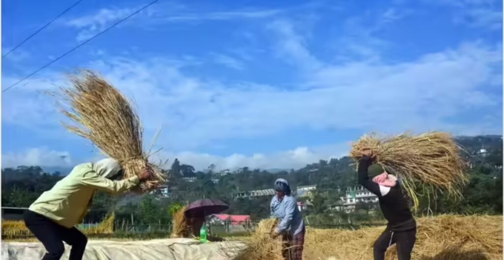 पीएम किसान