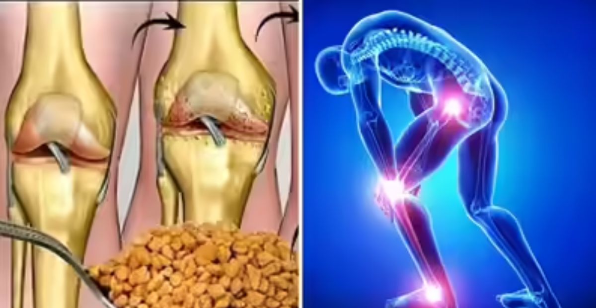 हड्डियां