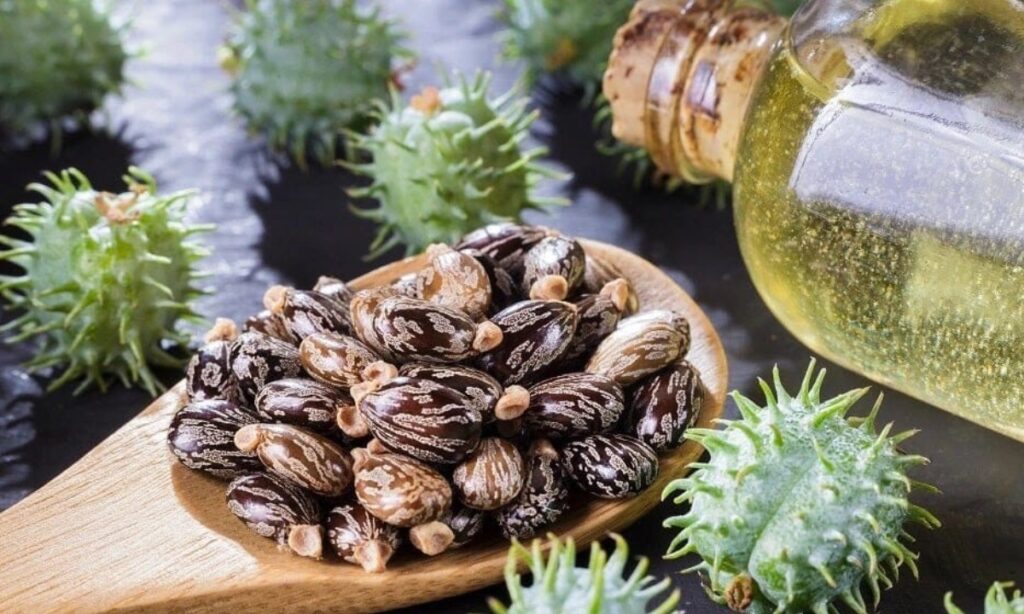 Castor Oil For Hair: घर पर ऐसे करें कैस्टर ऑयल का इस्तेमाल और पाएँ शानदार रिजल्ट
