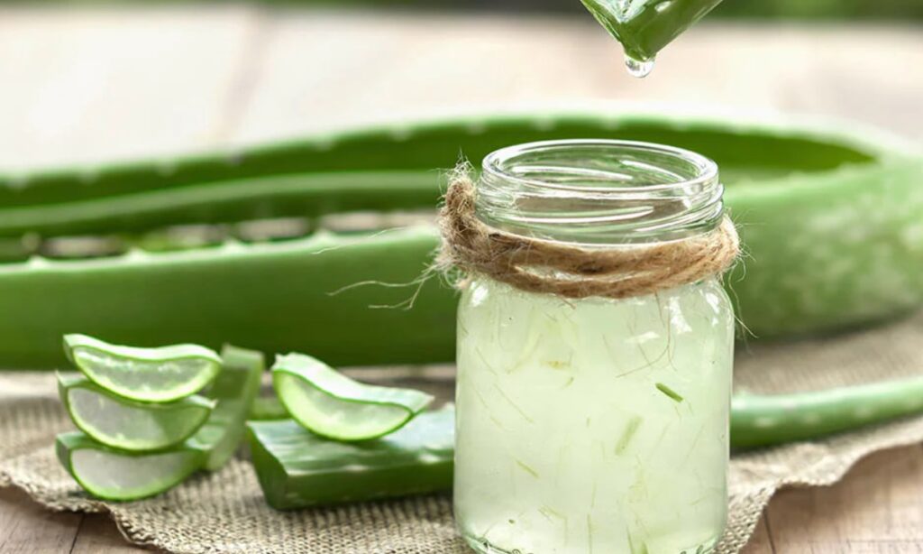 Aloe Vera Gel For Skin: चेहरे को ग्लोइंग और पिंपल-फ्री बनाने का प्राकृतिक तरीका