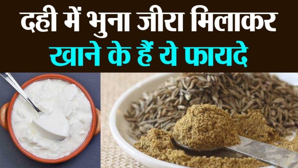 दही में भुना हुआ जीरा डालकर खाने से मिलते हैं कई फायदे, गर्मी में जरूर करें इसका सेवन …