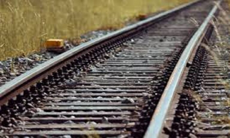 भिलाई की रेल से रफ्तार पकड़ेगा देश, मिला 14.23 लाख टन का मेगा ऑर्डर