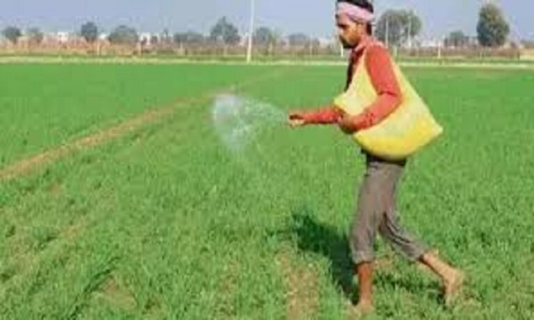 छत्तीसगढ़ के किसानों को बड़ी राहत, अफसरों को अब 7 दिन में देनी होगी सिंचाई की सुविधा