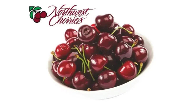 Cherry Day 2026: सिर्फ स्वाद नहीं, सेहत का भी खजाना है यह लाल फल; रोजाना खाने से मिल सकते हैं कई बड़े फायदे