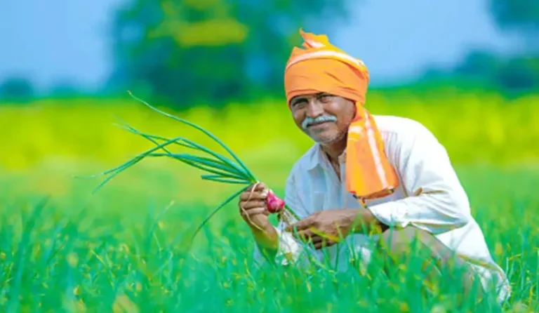 किसानों के लिए सबसे बड़ी राहत: 2 लाख रुपये तक का कर्ज होगा माफ, करोड़ों की योजना से लाखों परिवारों को संबल