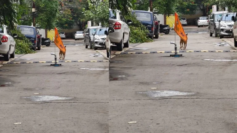 सड़क के बीच कर दी बोरिंग, इंदौर की तस्वीर सोशल मीडिया पर वायरल, वजह जानकर लोग भी रह गए हैरान